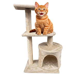 Arranhador Gato Torre Grande 4 Andares Casinha Área de Descanso