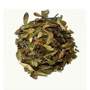 Chá de Uva Ursi