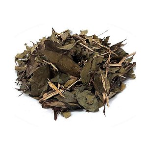 Chá de Pitanga Rasurada