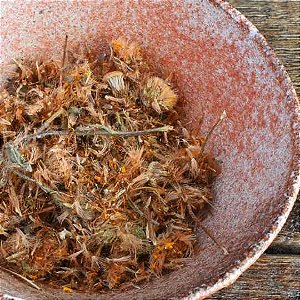 Chá de Arnica