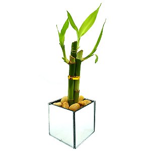 Vaso Cachepot Espelhado com 3 Hastes de Bambu da Sorte