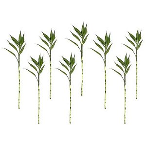 Kit com 8 Hastes de Bambu da Sorte (Extra Grande)