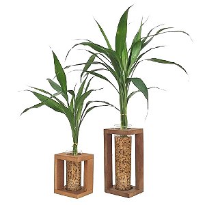 Conjunto de Vasos Rústicos em Madeira com Bambu da Sorte