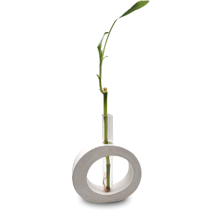 Bambu da Sorte com Suporte Oval e Tubo de Vidro