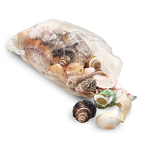Saquinho de Conchas e Caracóis do Mar (300g)
