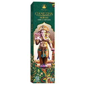 Incenso Natural Vila Zen Deuses Hindus (Ganesha)