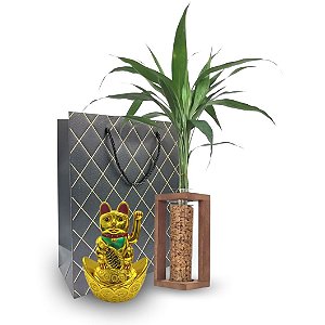 Kit Presente Vaso com Bambu da Sorte + Gato da Sorte Manekineko
