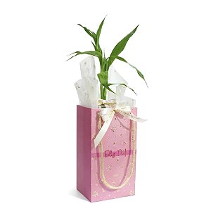 Kit Presente Bambu da Sorte e Sacola Feliz Dia!
