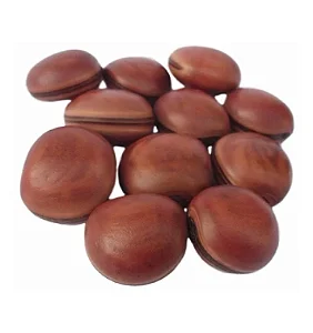 Semente Olho de Boi (Mucunã)