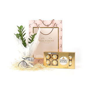 Especial de Páscoa com Zamioculca e Chocolate (Edição Limitada)