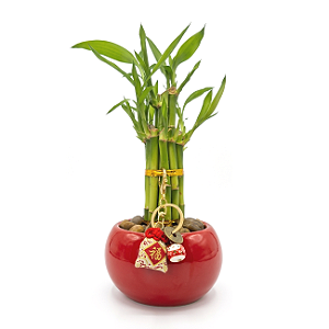 Vaso Oriental em Cerâmica com Torre de Bambu da Sorte (25cm)