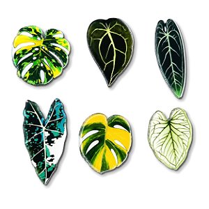 Kit Imã de Geladeira com Folhagens Ornamentais (6 unidades)