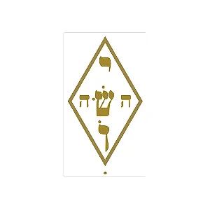 Adesivo Radiônico Nome Mistico Jesus Yoshua 5cm (3 unidades)