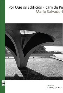 POR QUE OS EDIFÍCIOS FICAM DE PÉ