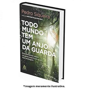 TODO MUNDO TEM UM ANJO DA GUARDA - PEDRO SIQUEIRA