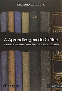 A APRENDIZAGEM DA CRÍTICA