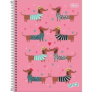 CADERNO 10 MATÉRIAS SPICE FEMININO 160 FOLHAS