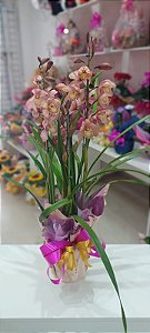 Orquídea Cymbidium 2 Hastes para Presente