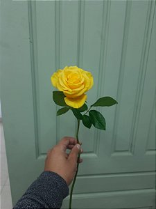 Rosa Amarela Avulsa (Sem Embalagem)