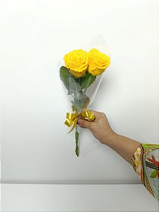 Buquê de 2 (Duas) Rosas Amarelas – Beleza Natural