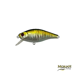 LAMBARI
