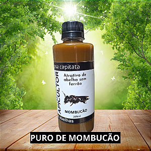 Atrativo Para Captura de Abelha Mombucão