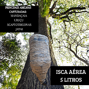 Isca Aérea para Captura de Abelhas Sem Ferrão 5 Litros