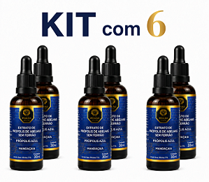 KIT 6 PRÓPOLIS AZUL FERRÃO APICULTOR – 30ML