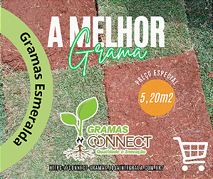 MUDAS DE GRAMAS ESMERALDA ( Consultar Frete )