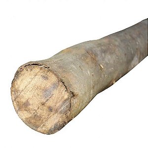 ESCORA DE EUCALIPTO