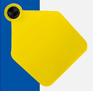 FÊMEA EXTRA GRANDE PACOTE COM 25 UNI