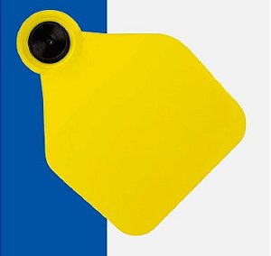 FÊMEA GRANDE PACOTE COM 25 UNI