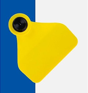 FÊMEA MÉDIA PACOTE COM 25 UNI