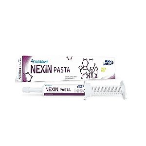 Nexin Pasta Seringa 40 g