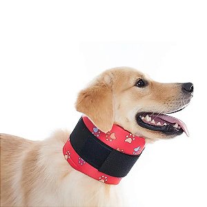 Colar Protetor Cervical Para Cachorro Pet Med N° 4
