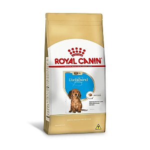 Ração Royal Canin Cães Dachshund Filhotes 2,5 kg