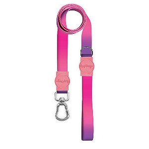 Guia Premium Peniche Dog Trip Brasil G