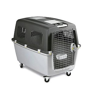 Caixa de Transporte Gulliver Chalesco N°04