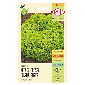 Semente Isla Multi Alface Itapuã Super Único