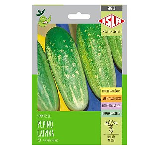 Semente Isla Superpak Pepino Caipira Único