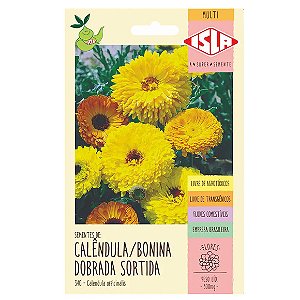 Semente Isla Calêndula Bonina Sortida Dobrada Único