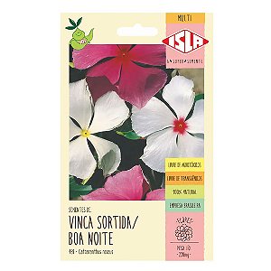 Semente Isla Vinca Boa Noite Único