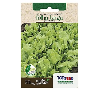 Sementes de Almeirão Folha Larga Tradicional Topseed Garden Único