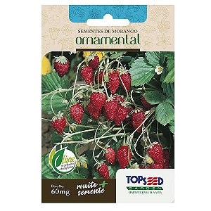 Sementes de Morango Ornamental Tradicional Topseed Garden Único