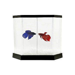 Beteira com Divisória Betta Flex Vigo Ar 5,5 L