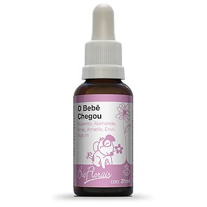 Sistema de Terapia Bio Florais o Bebê Chegou