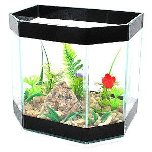 Aquário Hobby Decorada G