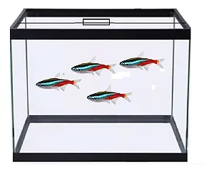 Aquário Pentágono Decorada G