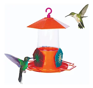 Bebed Beija Flor Toco Tucano Uni