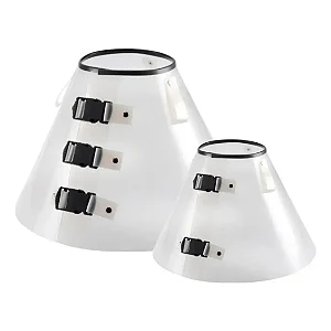 Colar Elizabetano Club Pet Branco N06